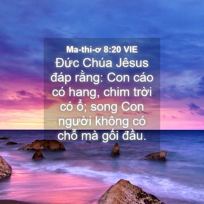 Picture 04 - Ma-thi-ơ 8:20 VIE - Đức Chúa Jêsus đáp rằng: Con cáo có - Bible Verse Picture