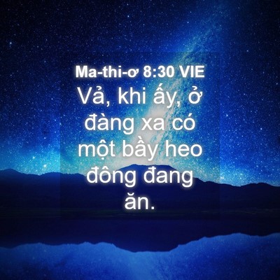 Picture 04 - Ma-thi-ơ 8:30 VIE - Vả, khi ấy, ở đàng xa có một bầy heo - Bible Verse Picture