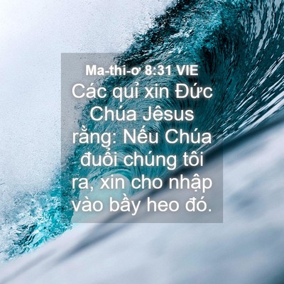 Picture 04 - Ma-thi-ơ 8:31 VIE - Các quỉ xin Đức Chúa Jêsus rằng: Nếu - Bible Verse Picture