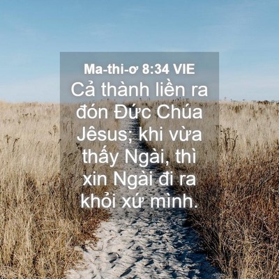 Picture 04 - Ma-thi-ơ 8:34 VIE - Cả thành liền ra đón Đức Chúa Jêsus; - Bible Verse Picture
