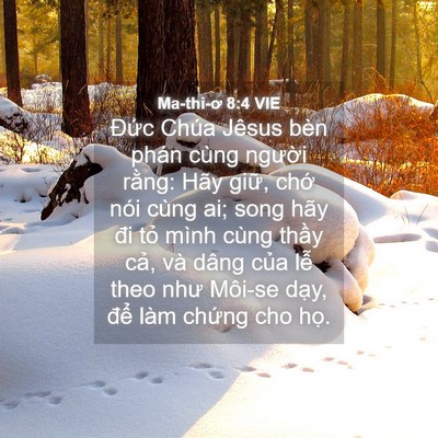 Picture 04 - Ma-thi-ơ 8:4 VIE - Đức Chúa Jêsus bèn phán cùng người - Bible Verse Picture