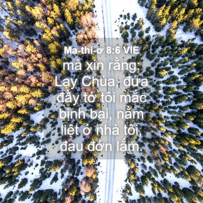 Picture 04 - Ma-thi-ơ 8:6 VIE - mà xin rằng: Lạy Chúa, đứa đầy tớ - Bible Verse Picture