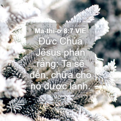 Picture 04 - Ma-thi-ơ 8:7 VIE - Đức Chúa Jêsus phán rằng: Ta sẽ đến, - Bible Verse Picture