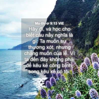 Picture 04 - Ma-thi-ơ 9:13 VIE - Hãy đi, và học cho biết câu nầy nghĩa - Bible Verse Picture