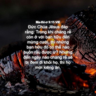 Picture 04 - Ma-thi-ơ 9:15 VIE - Đức Chúa Jêsus đáp rằng: Trong khi - Bible Verse Picture