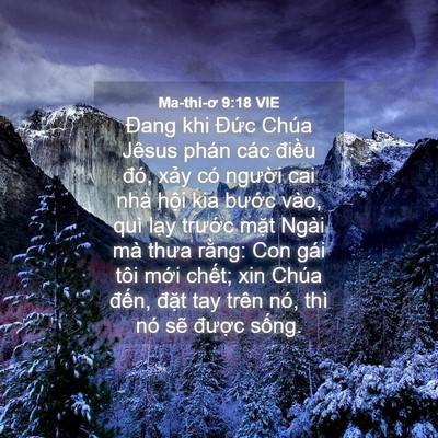 Picture 04 - Ma-thi-ơ 9:18 VIE - Đang khi Đức Chúa Jêsus phán các điều - Bible Verse Picture