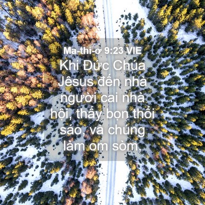 Picture 04 - Ma-thi-ơ 9:23 VIE - Khi Đức Chúa Jêsus đến nhà người cai - Bible Verse Picture