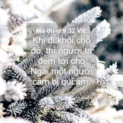 Picture 04 - Ma-thi-ơ 9:32 VIE - Khi đi khỏi chỗ đó, thì người ta đem - Bible Verse Picture