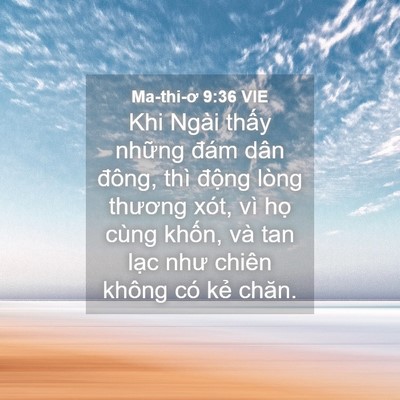 Picture 04 - Ma-thi-ơ 9:36 VIE - Khi Ngài thấy những đám dân đông, thì - Bible Verse Picture