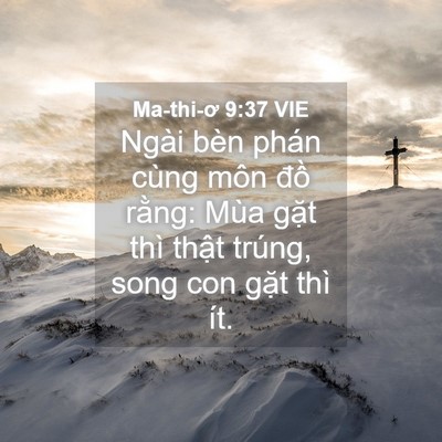 Picture 04 - Ma-thi-ơ 9:37 VIE - Ngài bèn phán cùng môn đồ rằng: Mùa - Bible Verse Picture