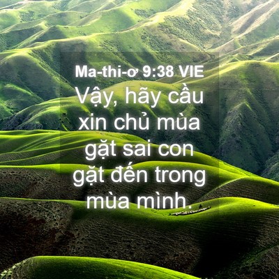 Picture 04 - Ma-thi-ơ 9:38 VIE - Vậy, hãy cầu xin chủ mùa gặt sai con - Bible Verse Picture
