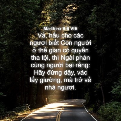 Picture 04 - Ma-thi-ơ 9:6 VIE - Vả, hầu cho các ngươi biết Con người - Bible Verse Picture