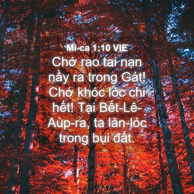 Picture 04 - Mi-ca 1:10 VIE - Chớ rao tai nạn nầy ra trong Gát! Chớ - Bible Verse Picture