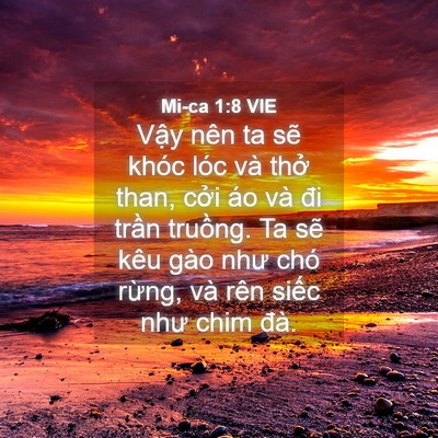 Picture 04 - Mi-ca 1:8 VIE - Vậy nên ta sẽ khóc lóc và thở than, - Bible Verse Picture