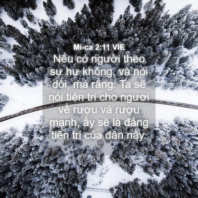 Picture 04 - Mi-ca 2:11 VIE - Nếu có người theo sự hư không, và nói - Bible Verse Picture