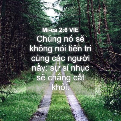 Picture 04 - Mi-ca 2:6 VIE - Chúng nó sẽ không nói tiên tri cùng các - Bible Verse Picture