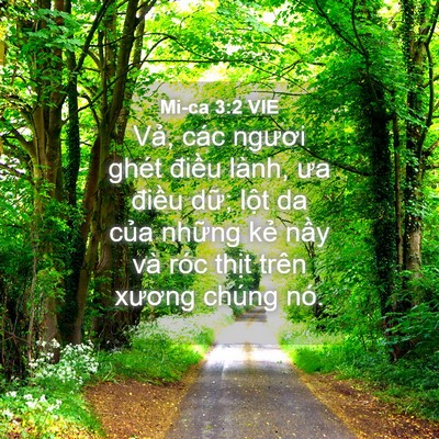 Picture 04 - Mi-ca 3:2 VIE - Vả, các ngươi ghét điều lành, ưa - Bible Verse Picture