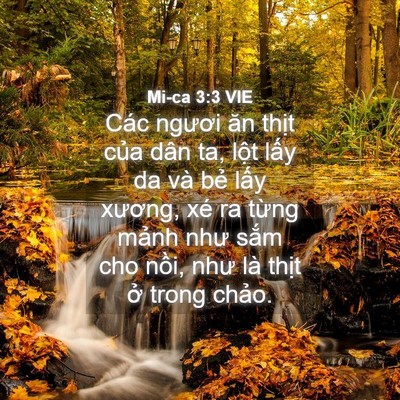 Picture 04 - Mi-ca 3:3 VIE - Các ngươi ăn thịt của dân ta, lột - Bible Verse Picture