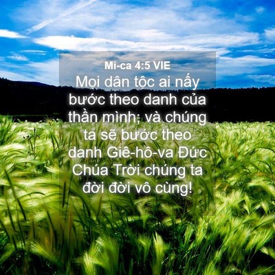 Picture 04 - Mi-ca 4:5 VIE - Mọi dân tộc ai nấy bước theo danh của - Bible Verse Picture