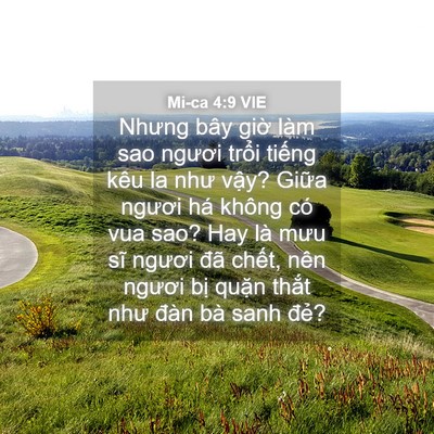 Picture 04 - Mi-ca 4:9 VIE - Nhưng bây giờ làm sao ngươi trổi tiếng - Bible Verse Picture