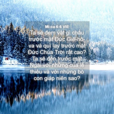 Picture 04 - Mi-ca 6:6 VIE - Ta sẽ đem vật gì chầu trước mặt - Bible Verse Picture