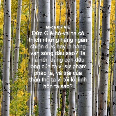Picture 04 - Mi-ca 6:7 VIE - Đức Giê-hô-va há có thích những hàng - Bible Verse Picture