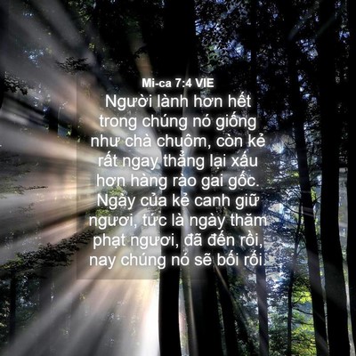 Picture 04 - Mi-ca 7:4 VIE - Người lành hơn hết trong chúng nó - Bible Verse Picture