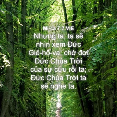 Picture 04 - Mi-ca 7:7 VIE - Nhưng ta, ta sẽ nhìn xem Đức Giê-hô-va, - Bible Verse Picture
