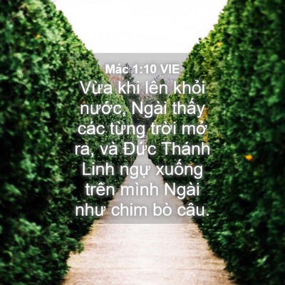 Picture 04 - Mác 1:10 VIE - Vừa khi lên khỏi nước, Ngài thấy các - Bible Verse Picture