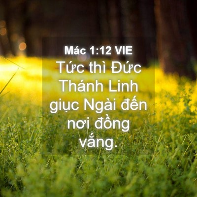 Picture 04 - Mác 1:12 VIE - Tức thì Đức Thánh Linh giục Ngài đến - Bible Verse Picture