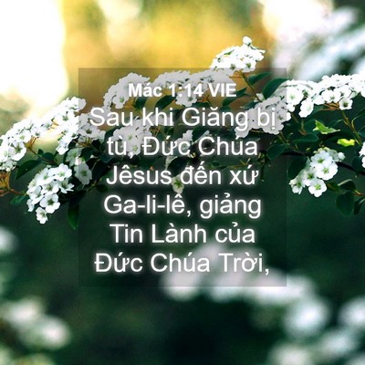 Picture 04 - Mác 1:14 VIE - Sau khi Giăng bị tù, Đức Chúa Jêsus - Bible Verse Picture