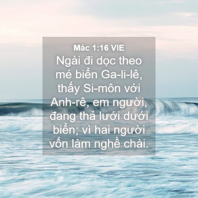 Picture 04 - Mác 1:16 VIE - Ngài đi dọc theo mé biển Ga-li-lê, thấy - Bible Verse Picture