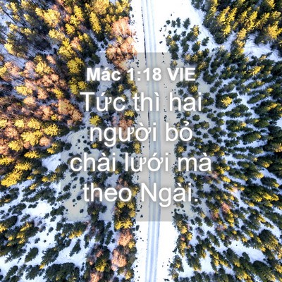 Picture 04 - Mác 1:18 VIE - Tức thì hai người bỏ chài lưới mà - Bible Verse Picture