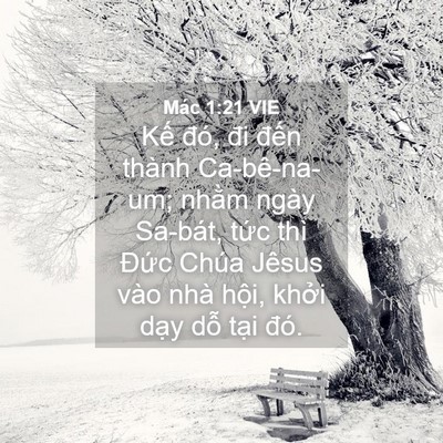 Picture 04 - Mác 1:21 VIE - Kế đó, đi đến thành Ca-bê-na-um; nhằm - Bible Verse Picture