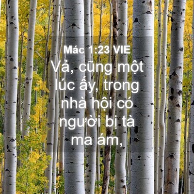Picture 04 - Mác 1:23 VIE - Vả, cũng một lúc ấy, trong nhà hội có - Bible Verse Picture