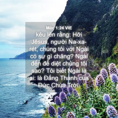 Picture 04 - Mác 1:24 VIE - kêu lên rằng: Hỡi Jêsus, người - Bible Verse Picture
