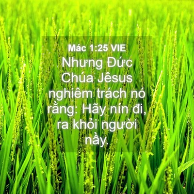 Picture 04 - Mác 1:25 VIE - Nhưng Đức Chúa Jêsus nghiêm trách nó - Bible Verse Picture