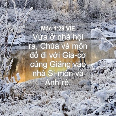 Picture 04 - Mác 1:29 VIE - Vừa ở nhà hội ra, Chúa và môn đồ đi - Bible Verse Picture