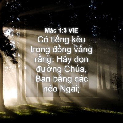 Picture 04 - Mác 1:3 VIE - Có tiếng kêu trong đồng vắng rằng: - Bible Verse Picture