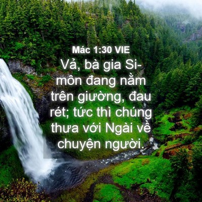 Picture 04 - Mác 1:30 VIE - Vả, bà gia Si-môn đang nằm trên - Bible Verse Picture