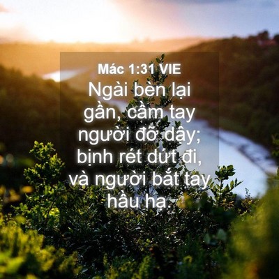 Picture 04 - Mác 1:31 VIE - Ngài bèn lại gần, cầm tay người đỡ - Bible Verse Picture