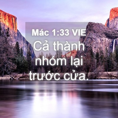 Picture 04 - Mác 1:33 VIE - Cả thành nhóm lại trước - Bible Verse Picture
