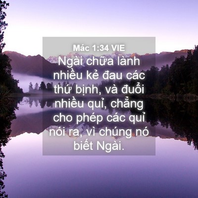 Picture 04 - Mác 1:34 VIE - Ngài chữa lành nhiều kẻ đau các thứ - Bible Verse Picture