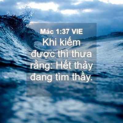 Picture 04 - Mác 1:37 VIE - Khi kiếm được thì thưa rằng: Hết - Bible Verse Picture