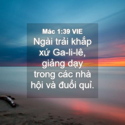 Picture 04 - Mác 1:39 VIE - Ngài trải khắp xứ Ga-li-lê, giảng dạy - Bible Verse Picture