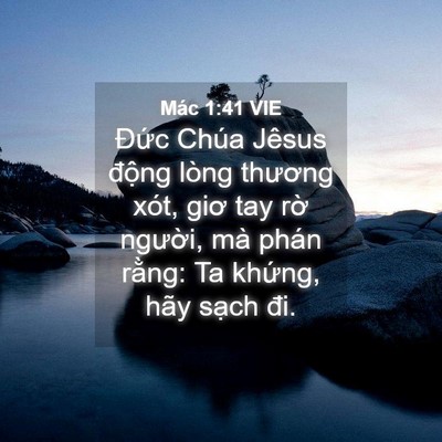 Picture 04 - Mác 1:41 VIE - Đức Chúa Jêsus động lòng thương xót, - Bible Verse Picture