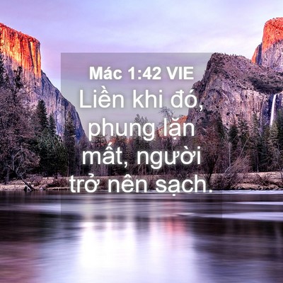Picture 04 - Mác 1:42 VIE - Liền khi đó, phung lặn mất, người - Bible Verse Picture