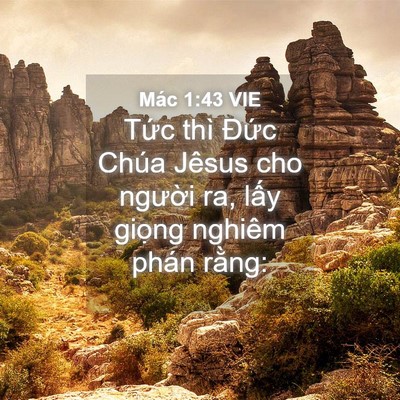 Picture 04 - Mác 1:43 VIE - Tức thì Đức Chúa Jêsus cho người ra, - Bible Verse Picture