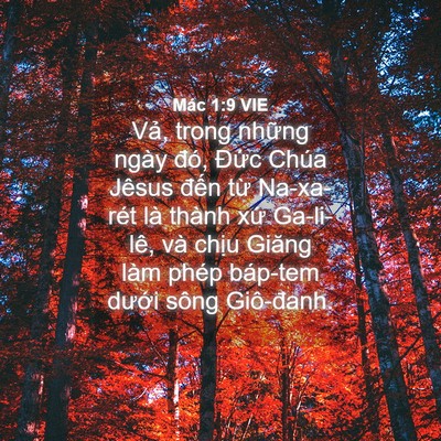 Picture 04 - Mác 1:9 VIE - Vả, trong những ngày đó, Đức Chúa - Bible Verse Picture