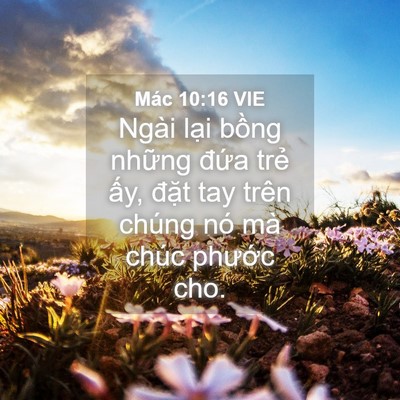 Picture 04 - Mác 10:16 VIE - Ngài lại bồng những đứa trẻ ấy, - Bible Verse Picture